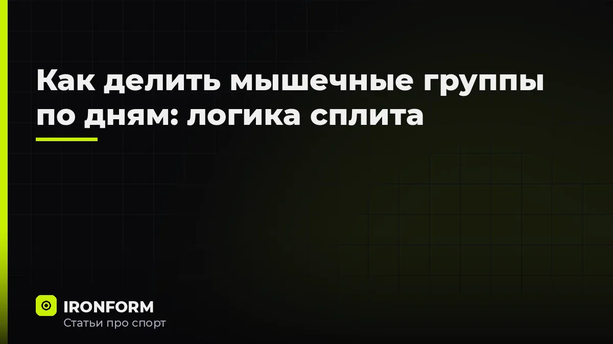 Как делить мышечные группы по дням: логика сплита